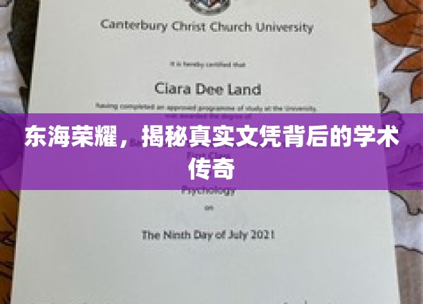 东海荣耀，揭秘真实文凭背后的学术传奇