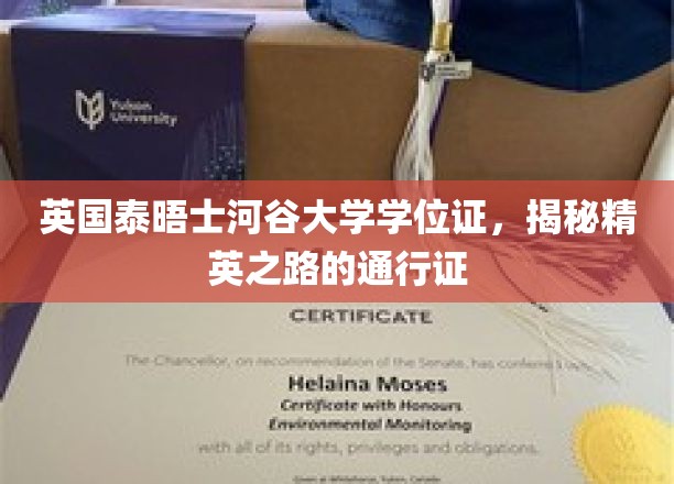 英国泰晤士河谷大学学位证，解锁精英之路的钥匙