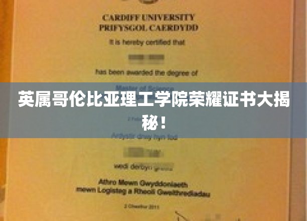 探寻英属哥伦比亚理工学院荣耀证书背后的故事