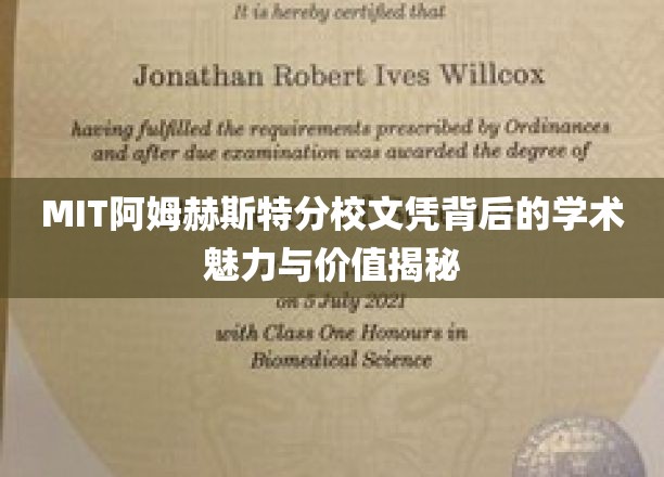 探寻MIT阿姆赫斯特分校文凭背后的独特学术魅力与深层价值