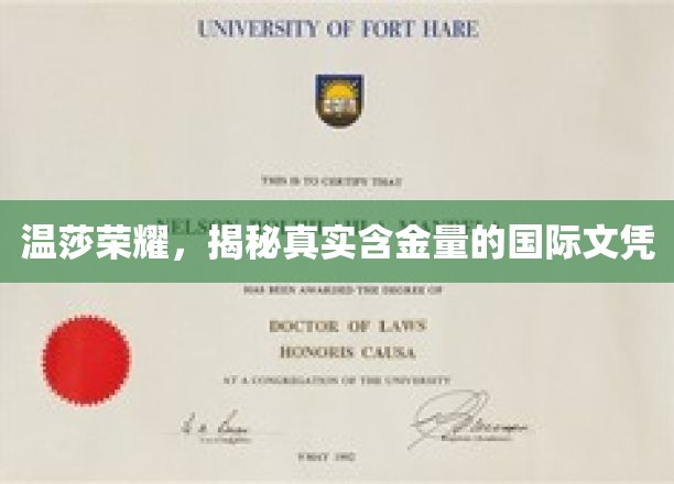 探寻温莎荣耀，国际文凭背后的真实含金量揭晓