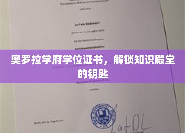 奥罗拉学府证书，开启智慧之门，解锁无限知识宝藏