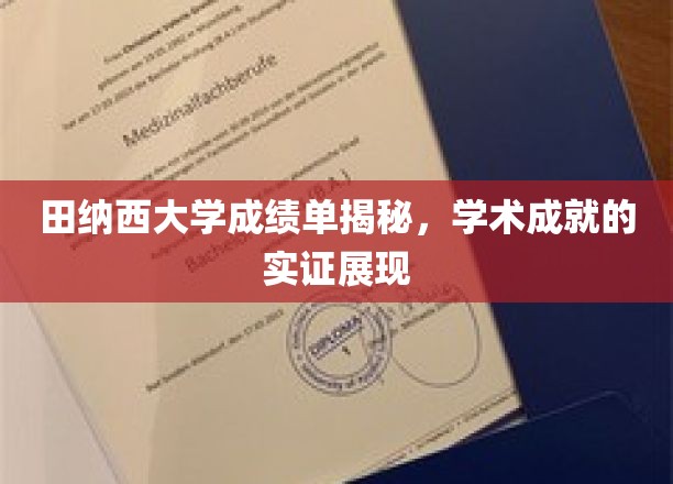 田纳西大学成绩单揭秘，学术成就的实证展现