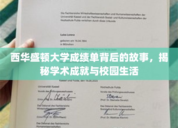 探寻西华盛顿大学成绩单背后的精彩篇章，学术荣耀与校园生活揭秘记