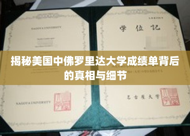 探索美国中佛罗里达大学成绩单的奥秘，深度解析与真实故事