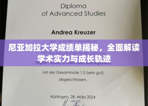 尼亚加拉大学成绩单揭秘，全面解读学术实力与成长轨迹