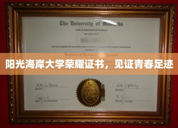 青春印记，阳光海岸荣耀证书见证非凡足迹