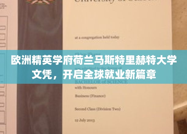 荷兰马斯特里赫特大学文凭，助你跨足国际职场新天地