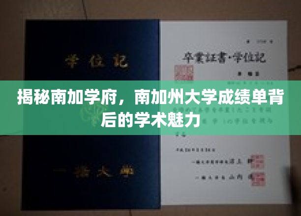 揭秘南加学府，南加州大学成绩单背后的学术魅力