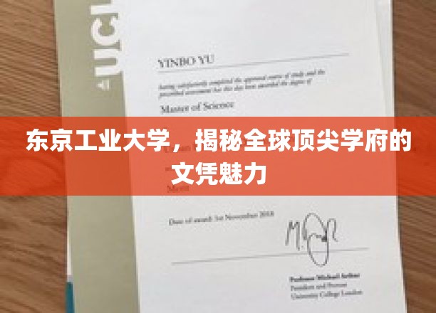 东京工业大学，揭秘国际精英教育的实力名片