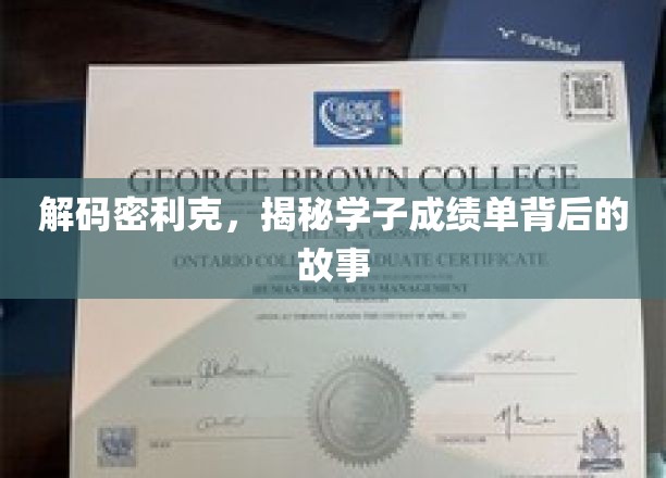 揭开学子成绩单背后的密利克奥秘