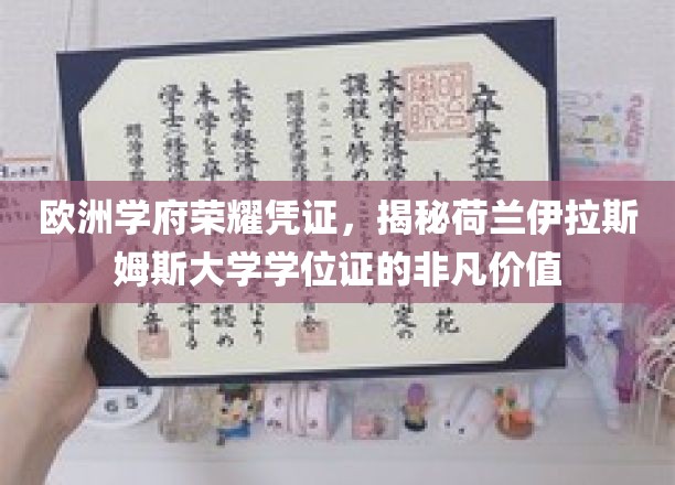 荷兰伊拉斯姆斯大学学位证，欧洲教育殿堂的璀璨明珠