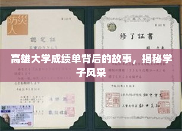 高雄大学成绩单背后，探寻学子的青春足迹与卓越风采