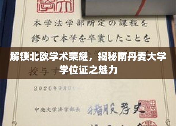 探索南丹麦大学学位证背后的北欧学术魅力