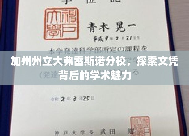 加州州立大弗雷斯诺分校，探索文凭背后的学术魅力