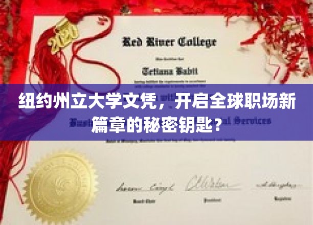 纽约州立大学文凭，全球职场通行证背后的独特魅力
