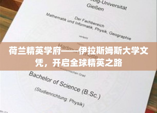 荷兰伊拉斯姆斯大学精英文凭，助您踏上国际舞台新起点