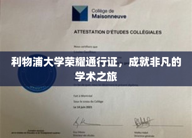 利物浦大学通行证，开启非凡学术征程之旅