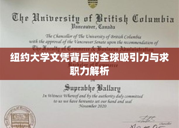 纽约大学文凭，揭秘全球职场通行证背后的魅力与优势