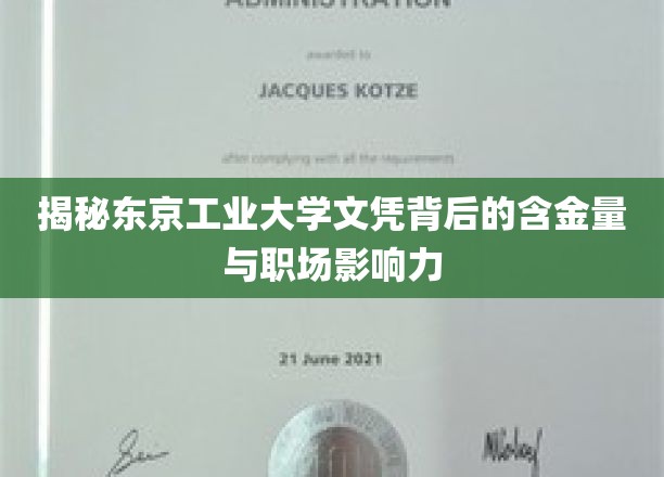 揭秘东京工业大学文凭背后的含金量与职场影响力