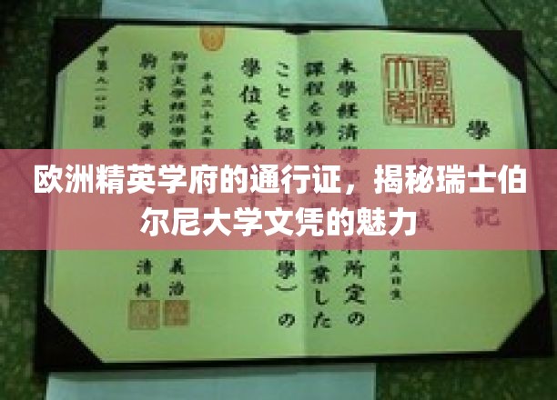 瑞士伯尔尼大学文凭，开启欧洲精英教育之门的关键钥匙