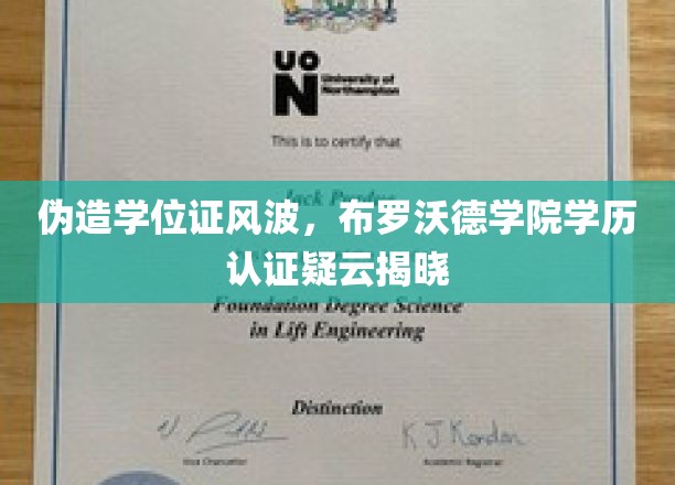 学历认证疑云，布罗沃德学院伪造学位证事件真相浮出水面