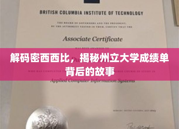 探索密西西比州立大学，成绩单背后的神秘面纱