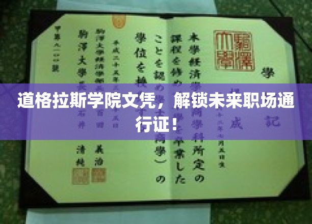 道格拉斯学院文凭，开启职场精英之路