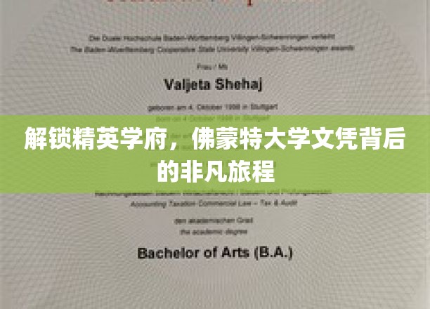 探寻佛蒙特大学精英之路，揭秘文凭背后的非凡历程