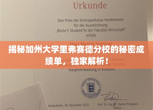 加州大学里弗赛德分校隐藏成绩单大揭秘，揭秘学霸背后的秘密！