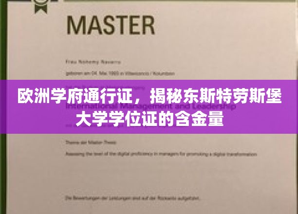 欧洲教育金钥匙，东斯特劳斯堡大学学位证的非凡价值
