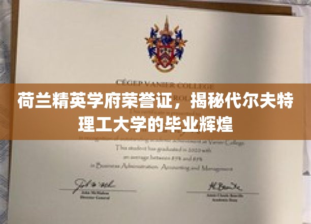 解锁荷兰顶尖学府荣耀，代尔夫特理工大学毕业生的璀璨成就