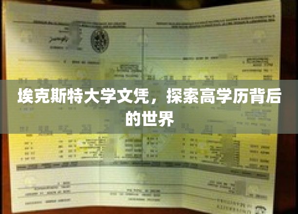 埃克斯特大学文凭，探索高学历背后的世界