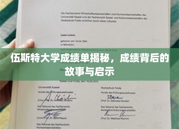 伍斯特大学成绩单揭秘，成绩背后的故事与启示