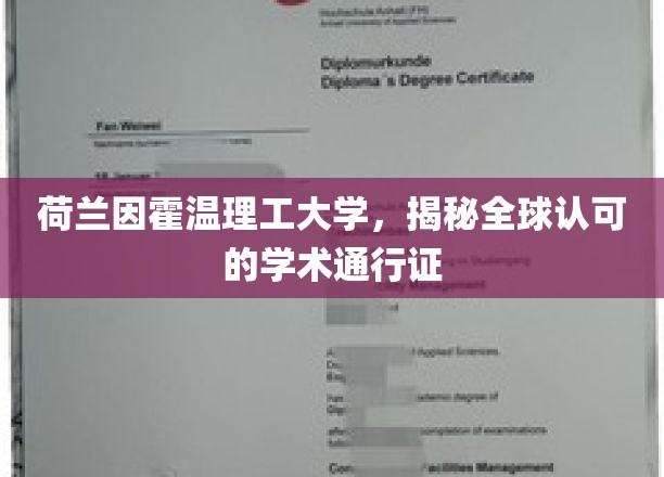 荷兰因霍温理工，打造国际学术界的通行证新标杆