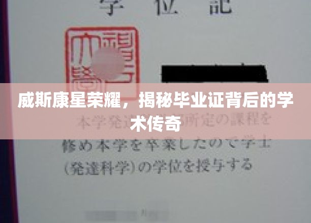 威斯康星之光，毕业证书背后的学术奥秘探寻