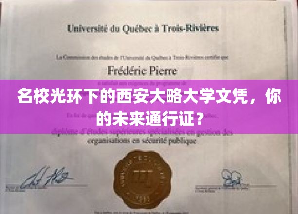 名校光环下的西安大略大学文凭，开启你的未来之旅？