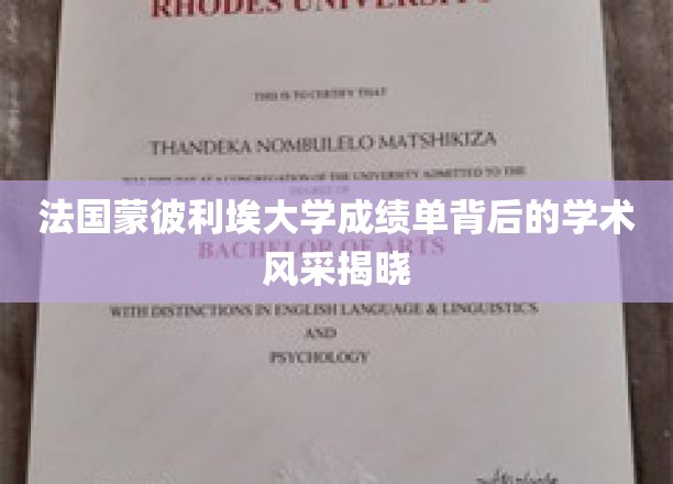 解码蒙彼利埃大学，成绩单映照下的学术魅力与卓越成就