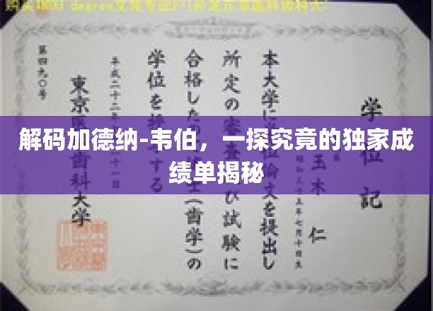 解码加德纳-韦伯，一探究竟的独家成绩单揭秘