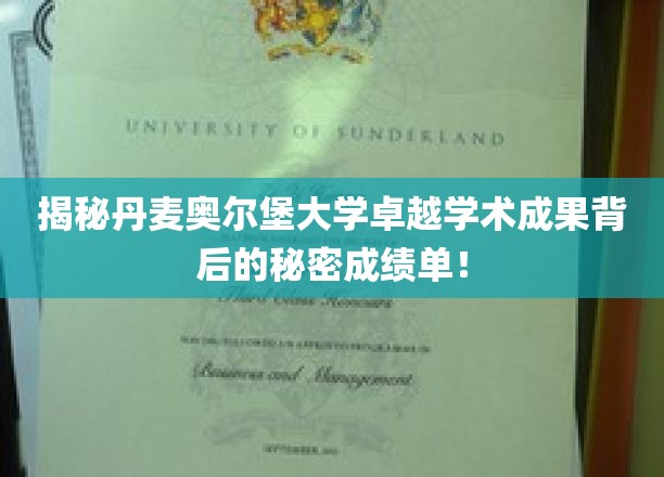 解锁丹麦奥尔堡大学学术巅峰的秘密档案，辉煌成就背后的秘密力量