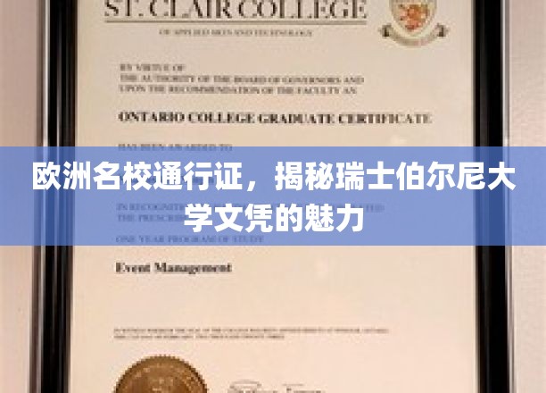 瑞士伯尔尼大学文凭，开启欧洲教育大门的黄金钥匙