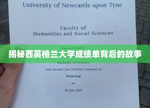 探寻西英格兰大学成绩单背后的真实面纱