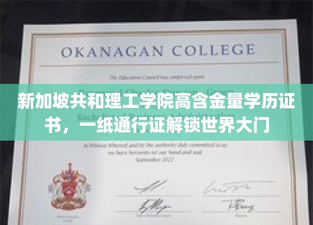 新加坡共和理工学院高含金量学历证书，一纸通行证开启世界大门