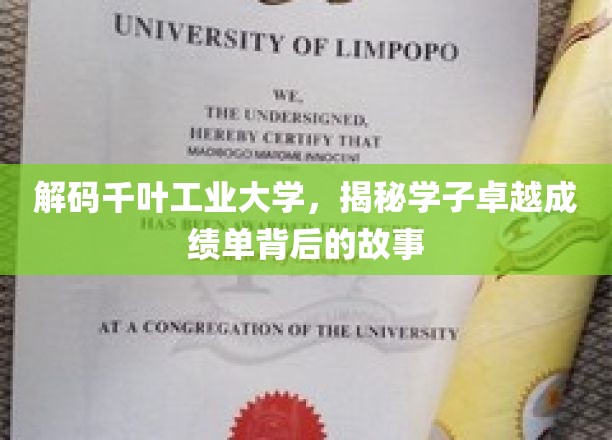 千叶工业大学学子传奇，揭开卓越成绩背后的成长篇章