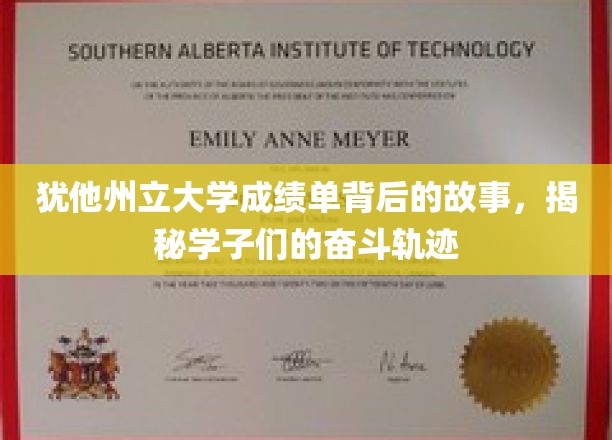 揭开犹他州立大学成绩单的面纱，学子们的汗水与足迹