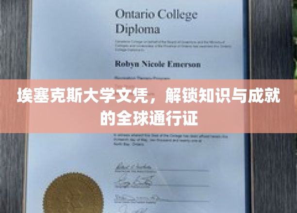全球通行，埃塞克斯文凭解锁无限知识之门