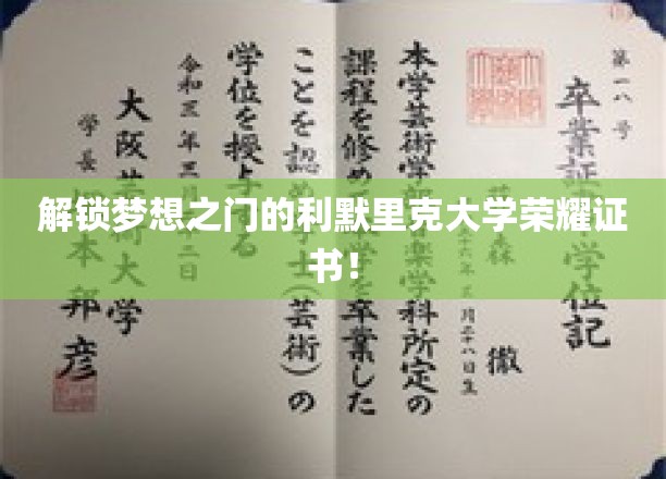 梦想启航站，利默里克大学荣耀证书引领未来