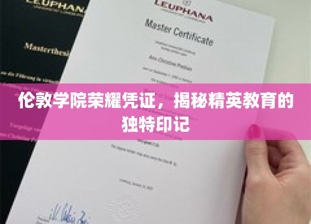 探寻伦敦学院精英育人的独到魅力