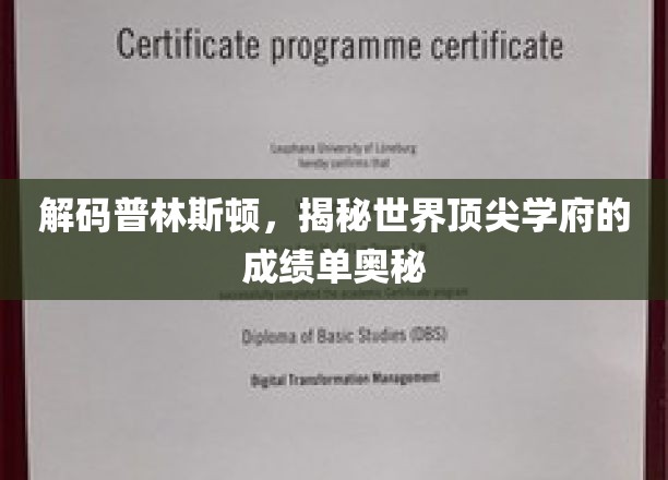 解码普林斯顿，揭秘世界顶尖学府的成绩单奥秘