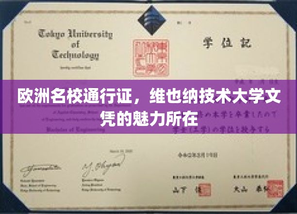 解锁欧洲学术之门，维也纳技术大学文凭的独特魅力